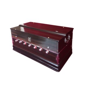 Harmonium for Your Music